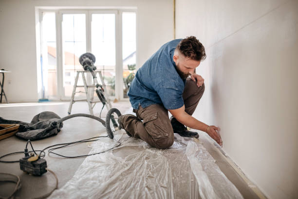 Best Drywall Removal and Disposal  in Junction City, KY