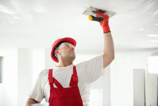 Best Water-Damaged Drywall Repair  in Junction City, KY